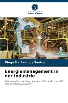 bokomslag Energiemanagement in der Industrie