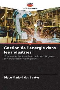 bokomslag Gestion de l'nergie dans les industries