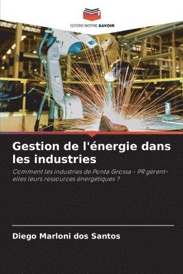 Diego Marloni Dos Santos, Diego Marloni dos Santos - Gestion de l'énergie dans les industries, Häftad