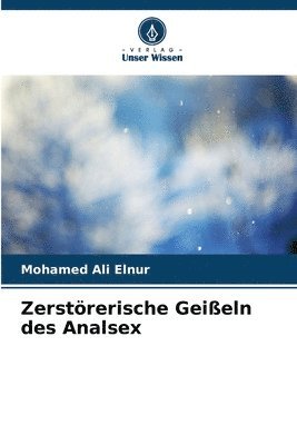 bokomslag Zerstrerische Geieln des Analsex