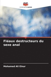 bokomslag Flaux destructeurs du sexe anal