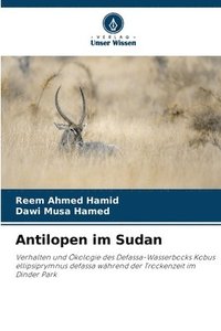 bokomslag Antilopen im Sudan