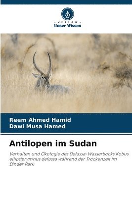 Antilopen im Sudan 1