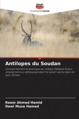 Antilopes du Soudan 1