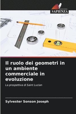 bokomslag Il ruolo dei geometri in un ambiente commerciale in evoluzione