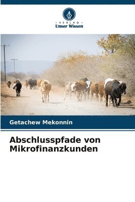 bokomslag Abschlusspfade von Mikrofinanzkunden