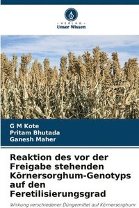 bokomslag Reaktion des vor der Freigabe stehenden Krnersorghum-Genotyps auf den Feretilisierungsgrad