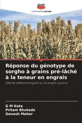 Rponse du gnotype de sorgho  grains pr-lch  la teneur en engrais 1