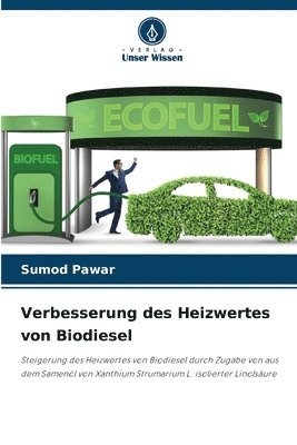 bokomslag Verbesserung des Heizwertes von Biodiesel