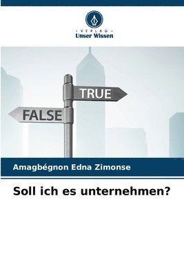 Soll ich es unternehmen?