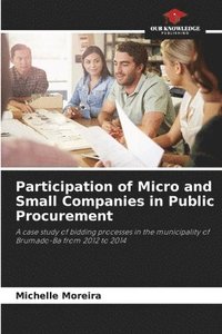 bokomslag Participation of Micro and Small Companies in Public Procurement