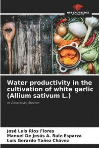 bokomslag Water productivity in the cultivation of white garlic (Allium sativum L.)