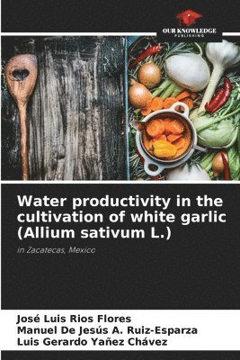José Luis Ríos Flores, Manuel de Jesús A Ruiz-Esparza, Luis Gerardo Yañez Chávez, Manuel de Jesús A. Ruiz-Esparza, Manuel De Jesús A. Ruiz-Esparza - Water productivity in the cultivation of white garlic (Allium sativum L.), Häftad