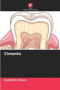 bokomslag Cimento