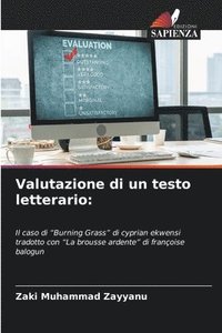 bokomslag Valutazione di un testo letterario