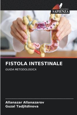 bokomslag Fistola Intestinale