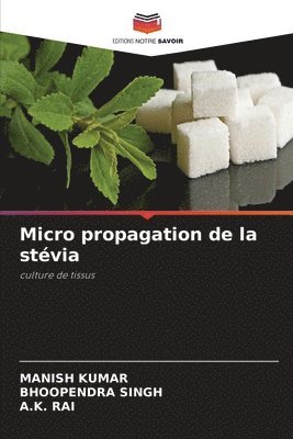 Micro propagation de la stévia