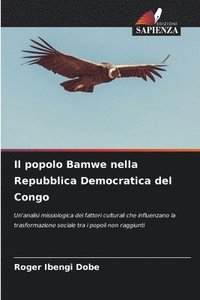 bokomslag Il popolo Bamwe nella Repubblica Democratica del Congo