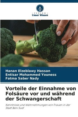 Vorteile der Einnahme von Folsäure vor und während der Schwangerschaft