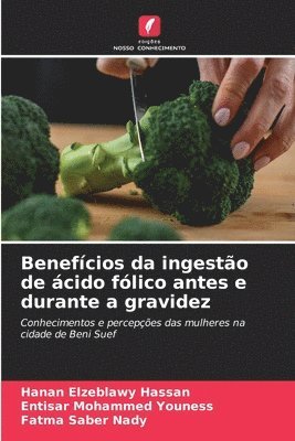 Benefícios da ingestão de ácido fólico antes e durante a gravidez