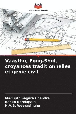 bokomslag Vaasthu, Feng-Shui, croyances traditionnelles et gnie civil