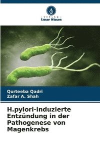 bokomslag H.pylori-induzierte Entzndung in der Pathogenese von Magenkrebs