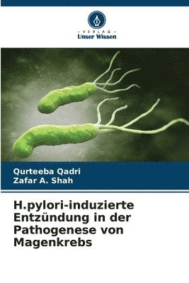 H.pylori-induzierte Entzndung in der Pathogenese von Magenkrebs 1