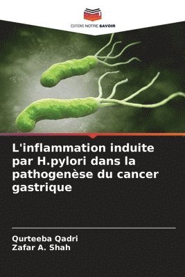 bokomslag L'inflammation induite par H.pylori dans la pathogenèse du cancer gastrique