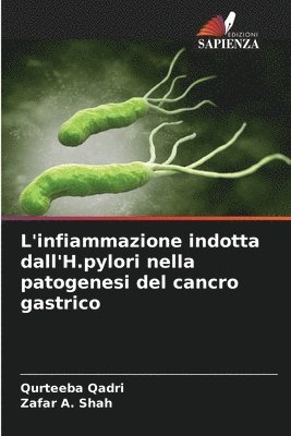 Qurteeba Qadri, Zafar A Shah, Zafar A. Shah - L'infiammazione indotta dall'H.pylori nella patogenesi del cancro gastrico, Häftad