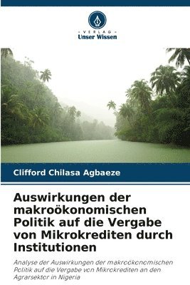 Auswirkungen der makrokonomischen Politik auf die Vergabe von Mikrokrediten durch Institutionen 1