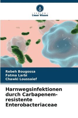 bokomslag Harnwegsinfektionen durch Carbapenem-resistente Enterobacteriaceae