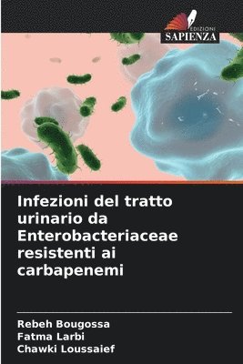 bokomslag Infezioni del tratto urinario da Enterobacteriaceae resistenti ai carbapenemi