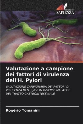 bokomslag Valutazione a campione dei fattori di virulenza dell'H. Pylori