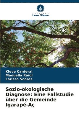 bokomslag Sozio-kologische Diagnose