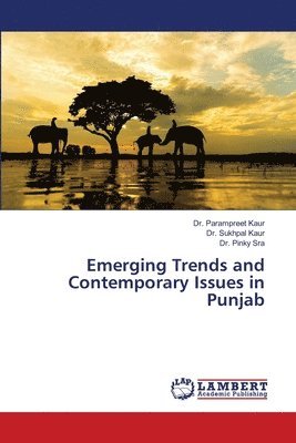 bokomslag Emerging Trends and Contemporary Issues in Punjab