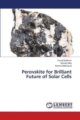 bokomslag Perovskite for Brilliant Future of Solar Cells