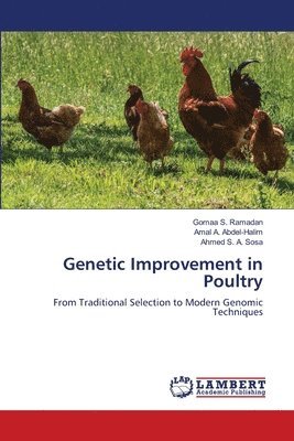 bokomslag Genetic Improvement in Poultry