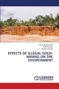 bokomslag Effects of Illegal Gold-Mining on the Environment