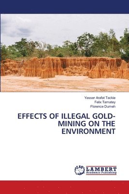 Effects of Illegal Gold-Mining on the Environment 1