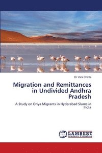 bokomslag Migration and Remittances in Undivided Andhra Pradesh