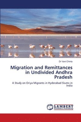 bokomslag Migration and Remittances in Undivided Andhra Pradesh