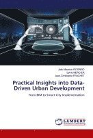 Practical Insights into Data-Driven Urban Development