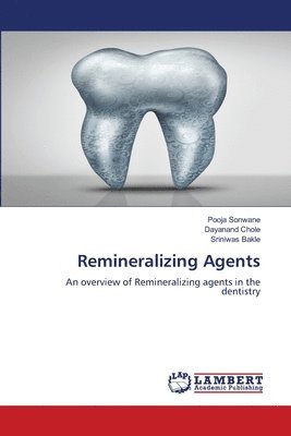 bokomslag Remineralizing Agents