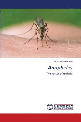Anopheles