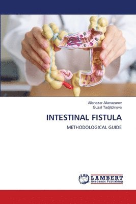 bokomslag Intestinal Fistula