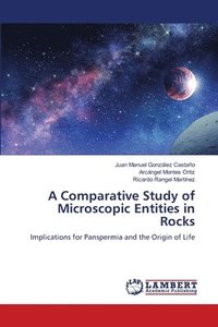 bokomslag A Comparative Study of Microscopic Entities in Rocks
