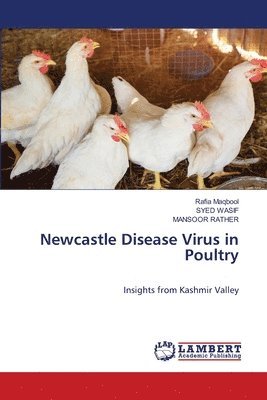 bokomslag Newcastle Disease Virus in Poultry