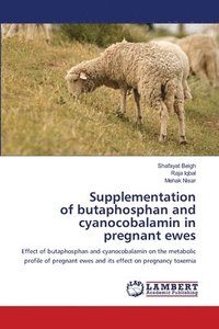 bokomslag Supplementation of butaphosphan and cyanocobalamin in pregnant ewes