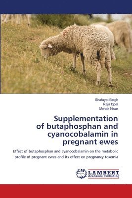 Supplementation of butaphosphan and cyanocobalamin in pregnant ewes 1