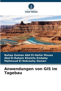 bokomslag Anwendungen von GIS im Tagebau
